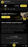 VIP rewards BoxBet